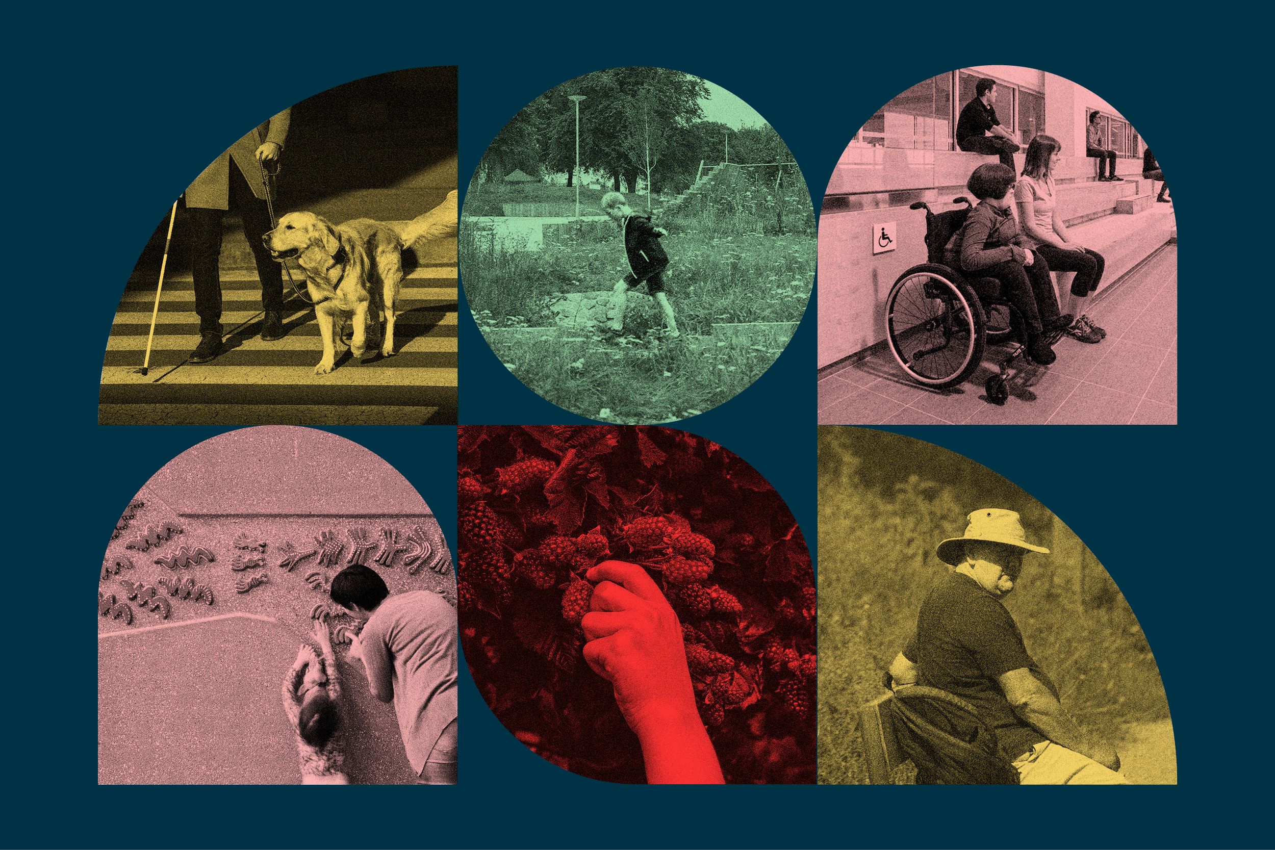 Design For Inclusion BDP Design for inclusion bdp